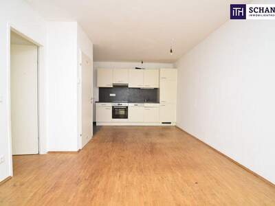 Terrassenwohnung mieten in 8020 Graz (Bild 2)
