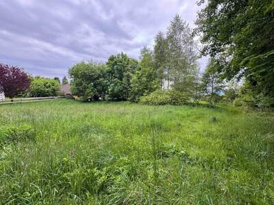 Grundstück kaufen in 4201 Eidenberg (Bild 3)