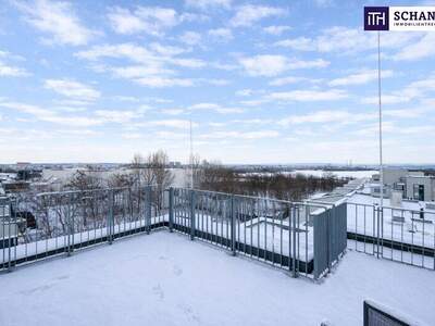 Terrassenwohnung kaufen in 1220 Wien (Bild 2)