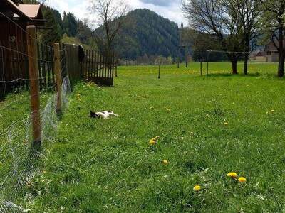 Bauernhaus kaufen in 8763 Möderbrugg (Bild 3)