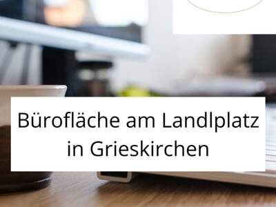 Gewerbeobjekt mieten in 4710 Grieskirchen (Bild 1)