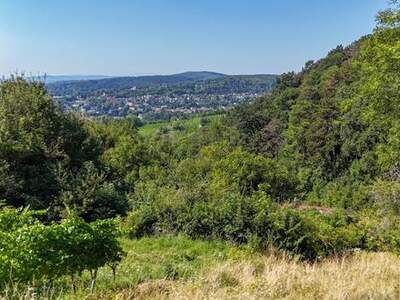 Haus kaufen in 1190 Wien