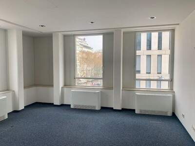 Gewerbeobjekt mieten in 1090 Wien (Bild 3)