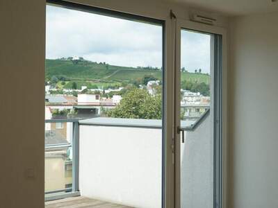 Terrassenwohnung mieten in 1190 Wien (Bild 4)