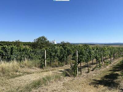 Gewerbeobjekt kaufen in 3492 Engabrunn (Bild 2)