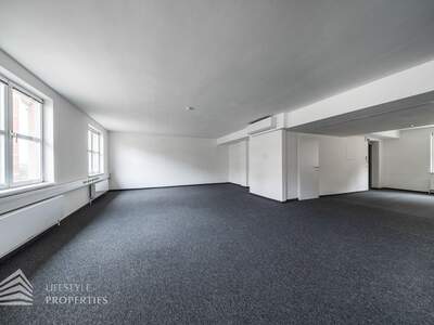 Gewerbeobjekt mieten in 1010 Wien (Bild 4)