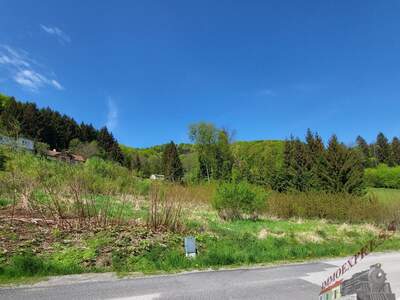 Grundstück kaufen in 3153 Eschenau (Bild 2)