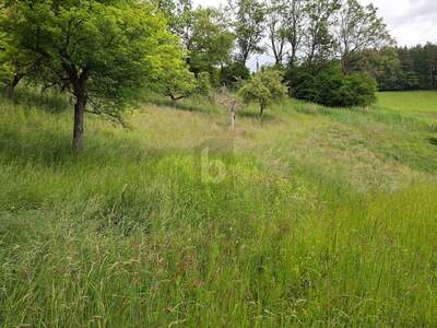 Grundstück kaufen in 9560 Feldkirchen (Bild 1)