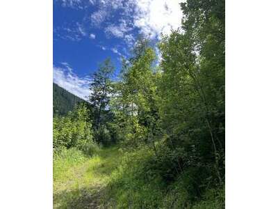 Grundstück kaufen in 8692 Veitschbach