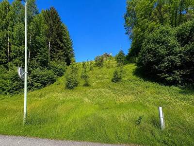 Grundstück kaufen in 4800 Attnang