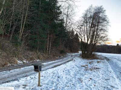 Grundstück kaufen in 8410 Weitendorf (Bild 3)