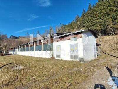 Lager mieten in 3342 Opponitz