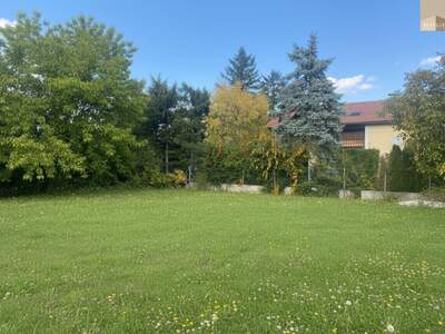 Grundstück kaufen in 2542 Kottingbrunn