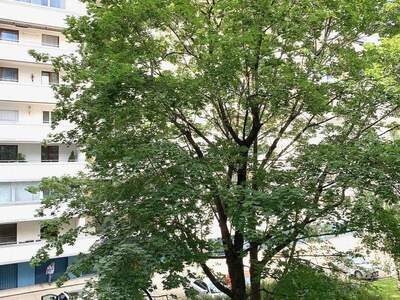 Terrassenwohnung mieten in 1200 Wien (Bild 5)