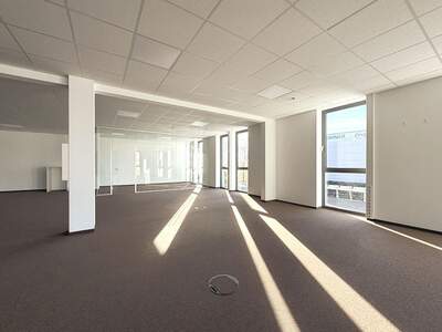 Gewerbeobjekt mieten in 6922 Wolfurt (Bild 5)