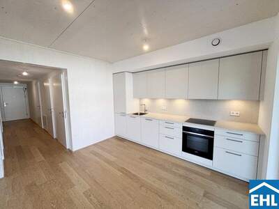Terrassenwohnung mieten in 2340 Mödling (Bild 4)