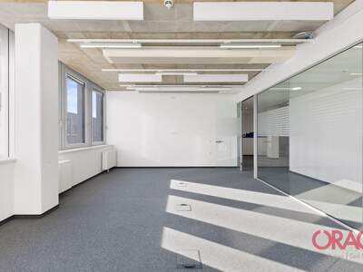 Gewerbeobjekt mieten in 1030 Wien (Bild 5)