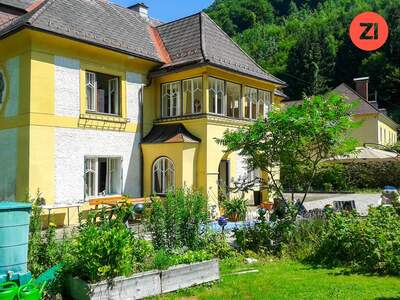 Einfamilienhaus kaufen