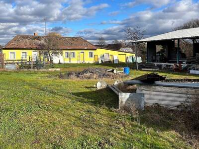 Haus mit Garten kaufen in 2054 Kleinhaugsdorf (Bild 4)