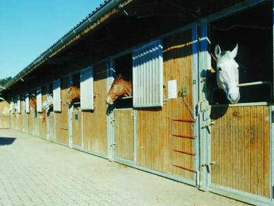 Gewerbeobjekt kaufen in 9314 Launsdorf (Bild 5)