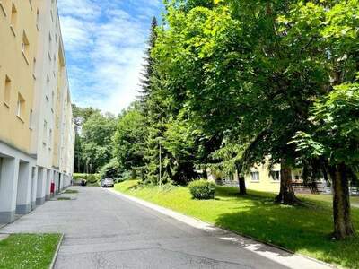 Terrassenwohnung kaufen in 2500 Baden (Bild 1)