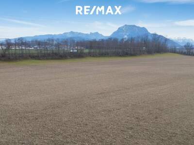 Grundstück kaufen in 4664 Laakirchen (Bild 1)