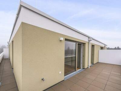 Terrassenwohnung kaufen in 2540 Bad Vöslau (Bild 4)