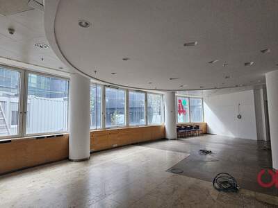 Gewerbeobjekt mieten in 1220 Wien (Bild 3)