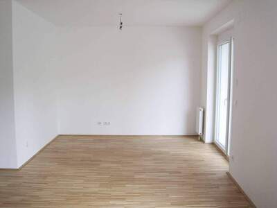 Wohnung mieten in 3420 Kritzendorf