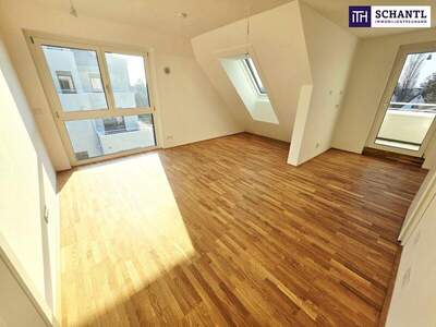 Terrassenwohnung kaufen in 1220 Wien (Bild 1)