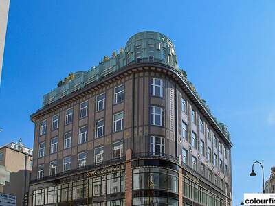 Office / Business mieten in 1010 Wien
