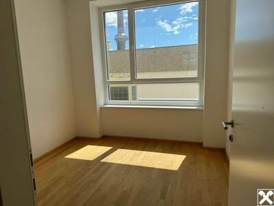 Gewerbeobjekt mieten in 2630 Ternitz (Bild 2)