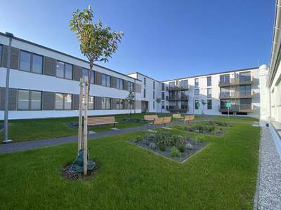 Wohnung mieten in 3362 Mauer