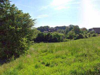 Grundstück kaufen in 8442 Neurath