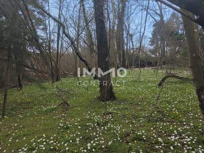 Grundstück kaufen in 3021 Pressbaum