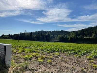 Grundstück kaufen in 8200 Gleisdorf