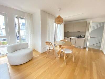 Terrassenwohnung kaufen in 1220 Wien (Bild 2)