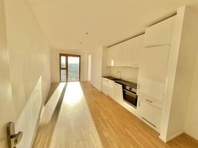 Wohnung mieten in 1100 Wien