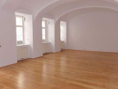 Gewerbeobjekt mieten in 1070 Wien (Bild 1)