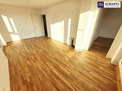 Terrassenwohnung kaufen in 1220 Wien (Bild 4)