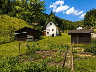 Haus mit Garten kaufen in 8252 Mönichwald (Bild 3)