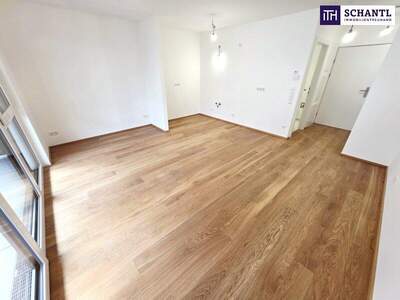 Terrassenwohnung kaufen in 1230 Wien (Bild 2)