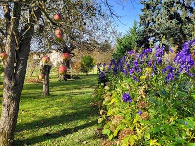 Einfamilienhaus kaufen in 2533 Klausen (Bild 1)