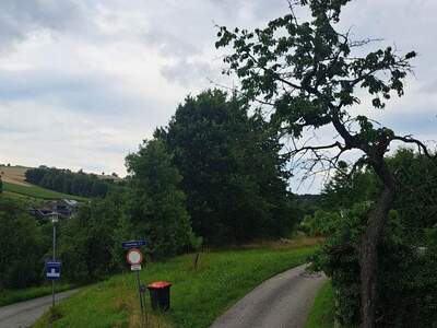 Grundstück kaufen in 4111 Walding (Bild 3)