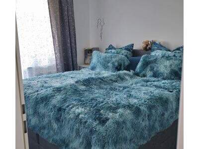 Terrassenwohnung mieten in 4225 Luftenberg (Bild 4)