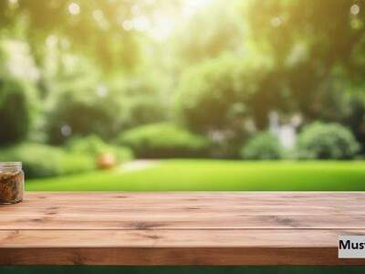 Grundstück kaufen in 2482 Münchendorf