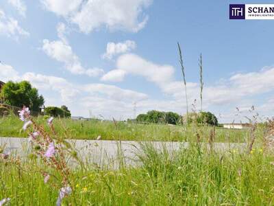 Grundstück kaufen in 8430 Leibnitz (Bild 3)