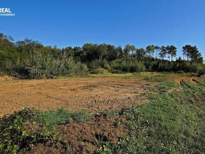 Grundstück kaufen in 7503 Großpetersdorf
