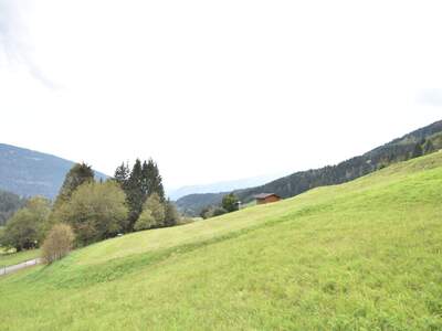 Gewerbeobjekt kaufen in 9543 Arriach (Bild 4)