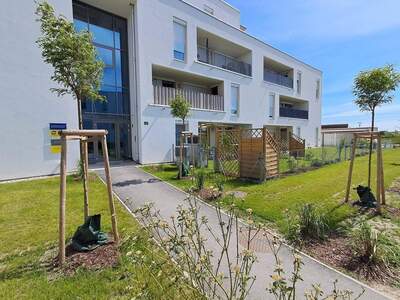 Wohnung mieten in 3470 Kirchberg